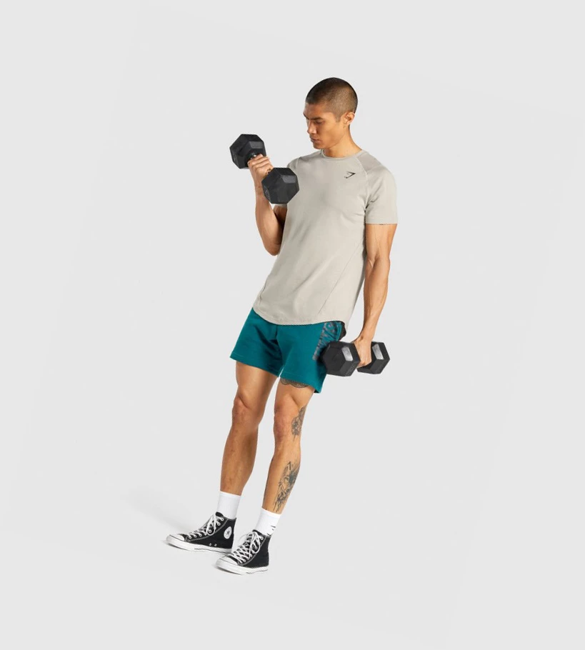 Gymshark Bold Miesten T Paidat Harmaat | GWLEXZ539