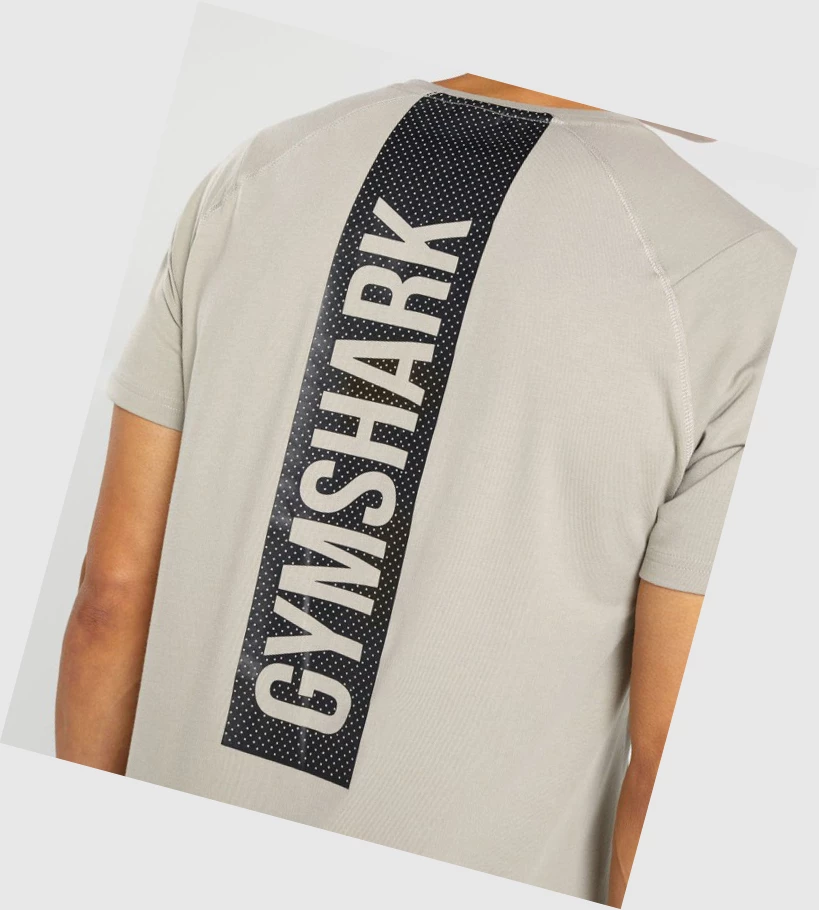 Gymshark Bold Miesten T Paidat Harmaat | GWLEXZ539