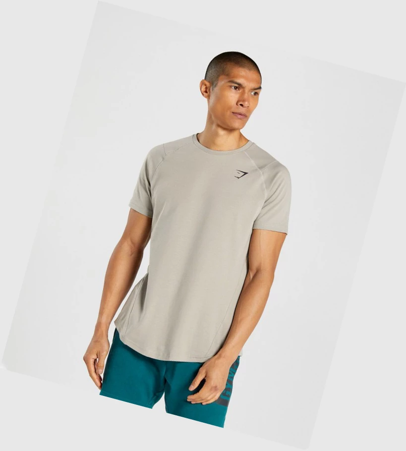Gymshark Bold Miesten T Paidat Harmaat | GWLEXZ539