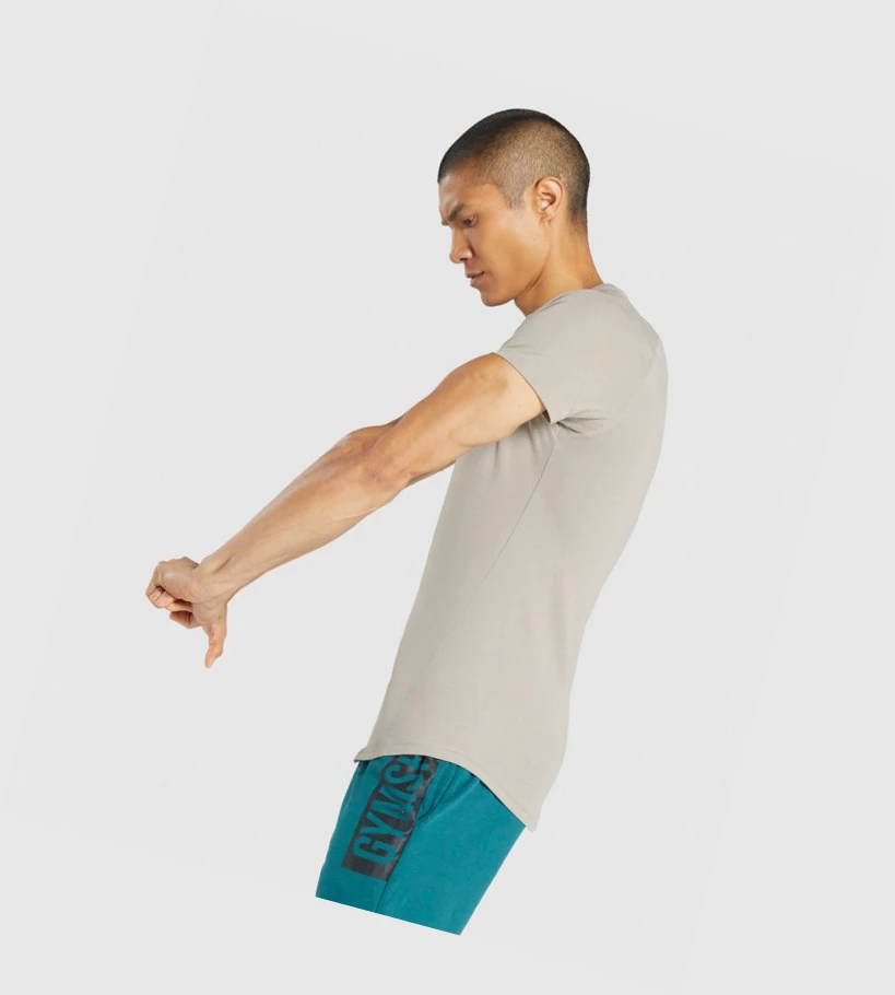 Gymshark Bold Miesten T Paidat Harmaat | HCKRUJ340
