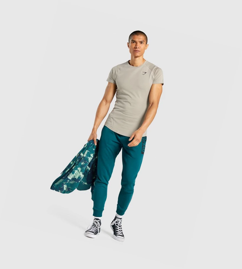 Gymshark Bold Miesten T Paidat Harmaat | HCKRUJ340