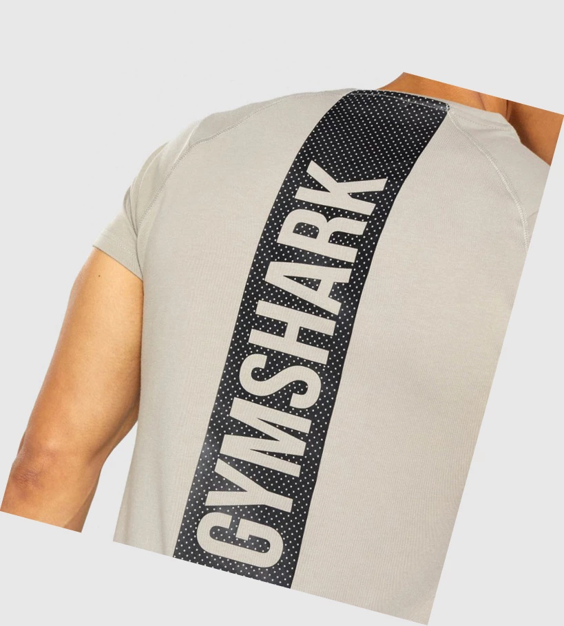 Gymshark Bold Miesten T Paidat Harmaat | HCKRUJ340