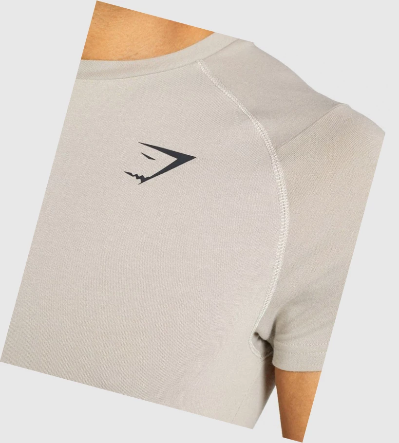 Gymshark Bold Miesten T Paidat Harmaat | HCKRUJ340
