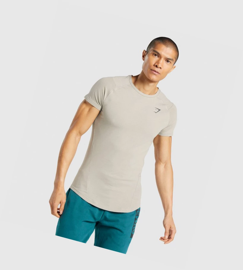 Gymshark Bold Miesten T Paidat Harmaat | HCKRUJ340