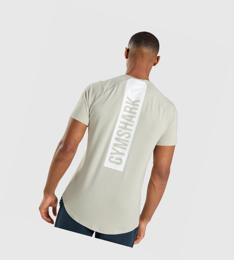 Gymshark Bold Miesten T Paidat Harmaat | VDSXFA215