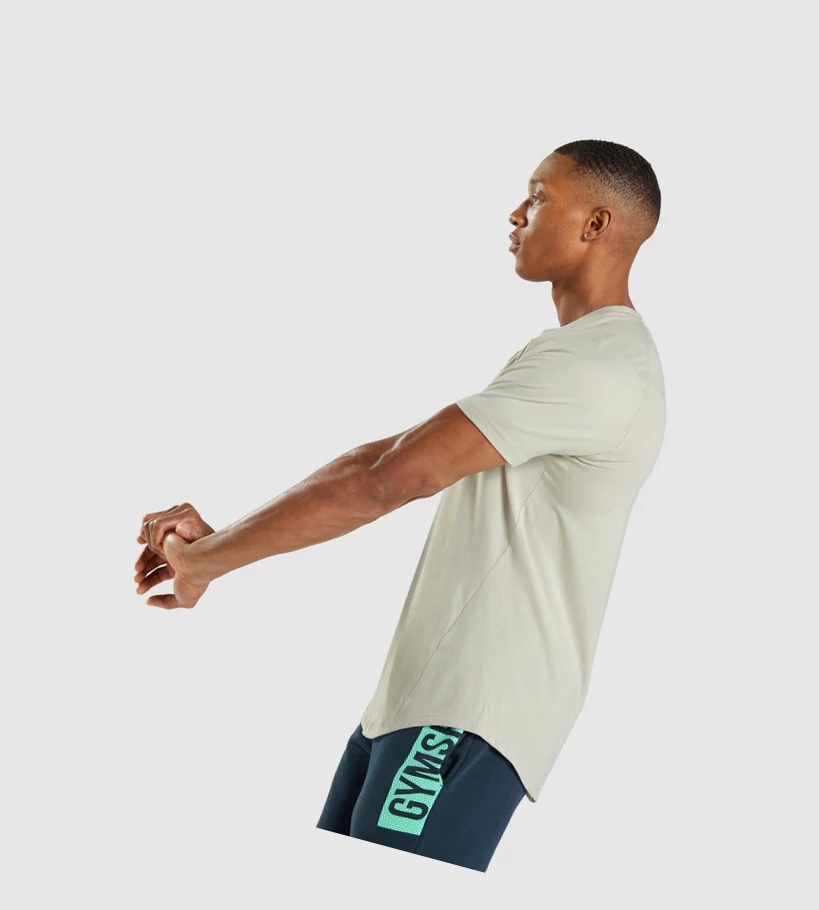 Gymshark Bold Miesten T Paidat Harmaat | VDSXFA215