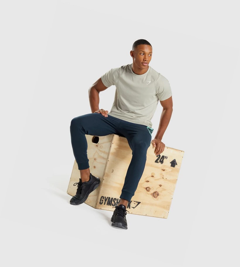 Gymshark Bold Miesten T Paidat Harmaat | VDSXFA215