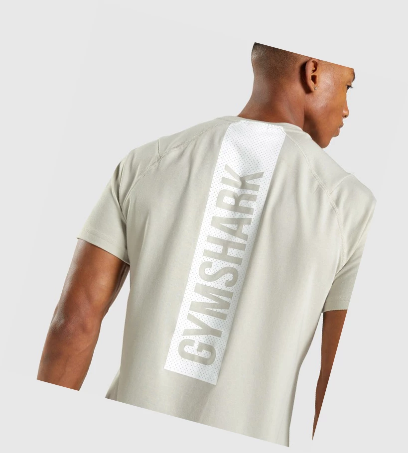 Gymshark Bold Miesten T Paidat Harmaat | VDSXFA215