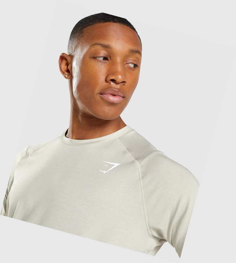 Gymshark Bold Miesten T Paidat Harmaat | VDSXFA215