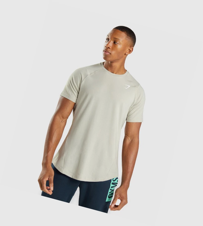 Gymshark Bold Miesten T Paidat Harmaat | VDSXFA215