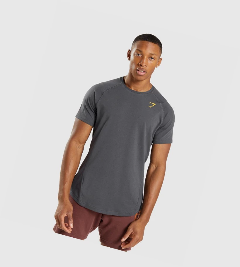 Gymshark Bold Miesten T Paidat Mustat Harmaat | AXTCLN935