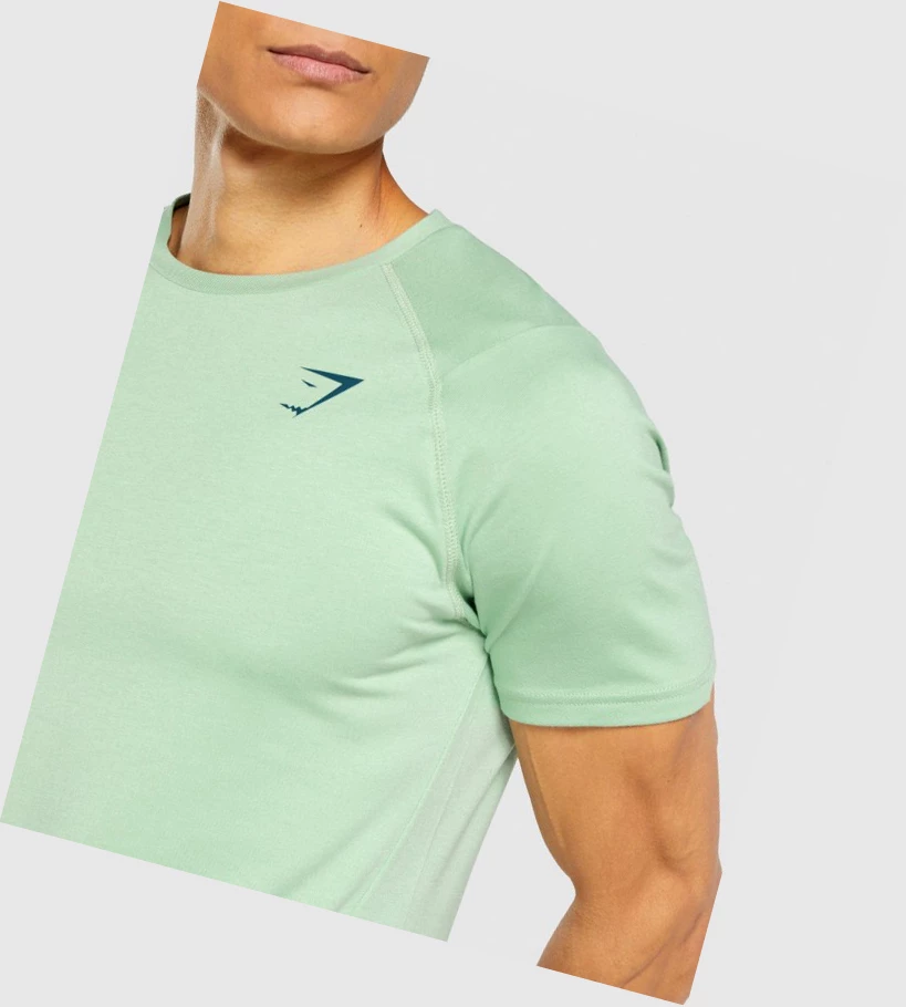 Gymshark Bold Miesten T Paidat Vihreä | FATEYL720