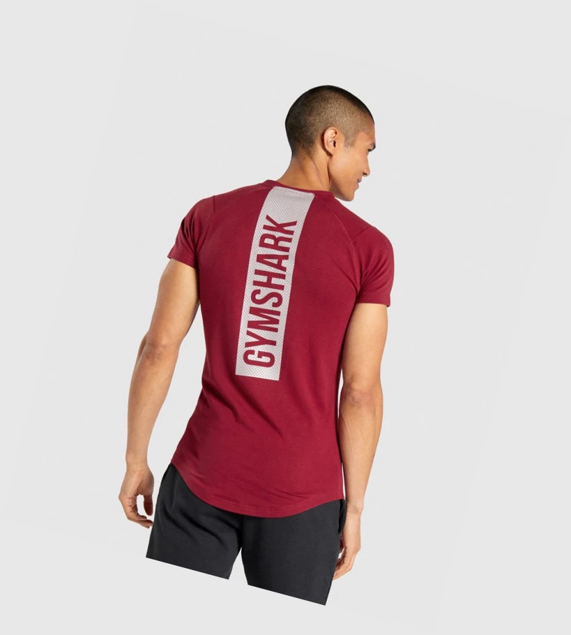 Gymshark Bold Miesten T Paidat Viininpunainen | LJGAMB659