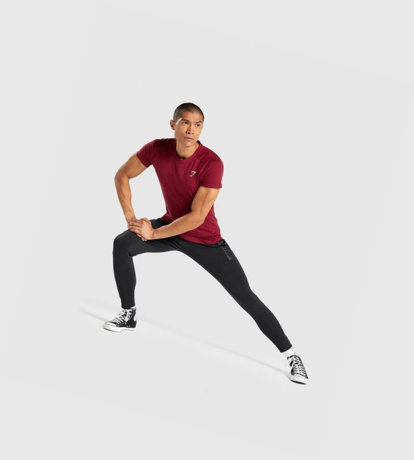 Gymshark Bold Miesten T Paidat Viininpunainen | LJGAMB659