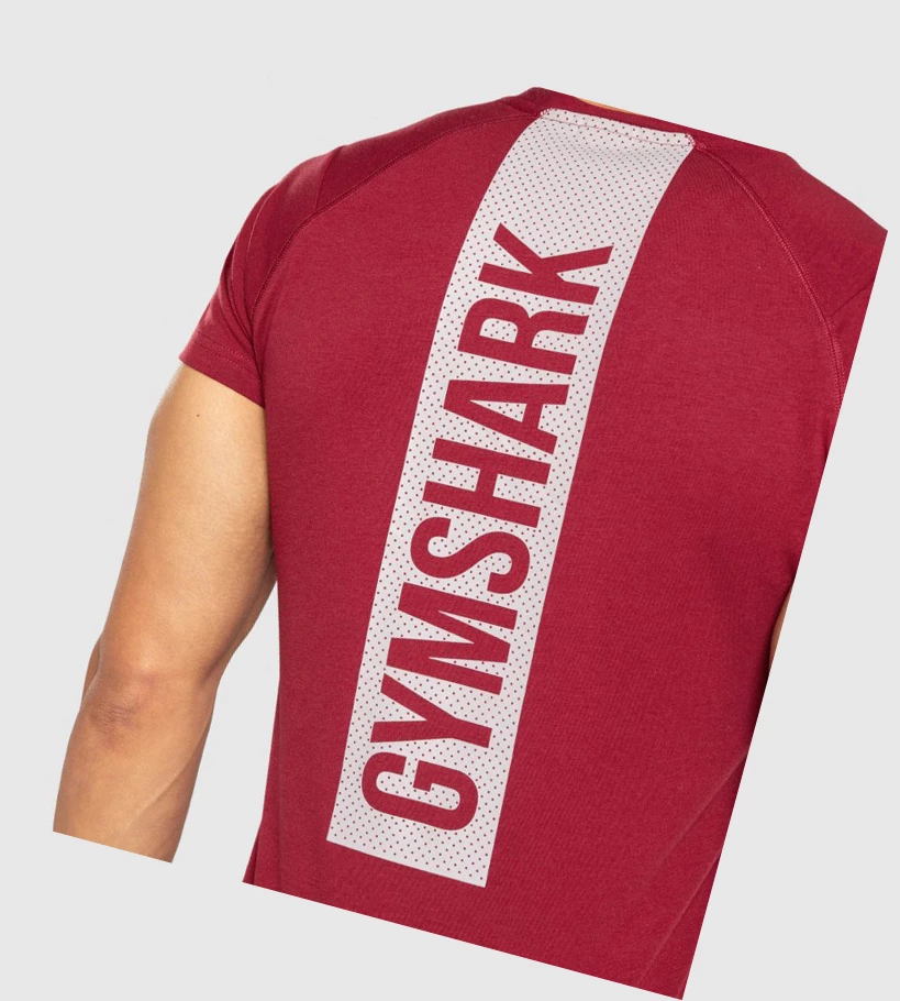 Gymshark Bold Miesten T Paidat Viininpunainen | LJGAMB659