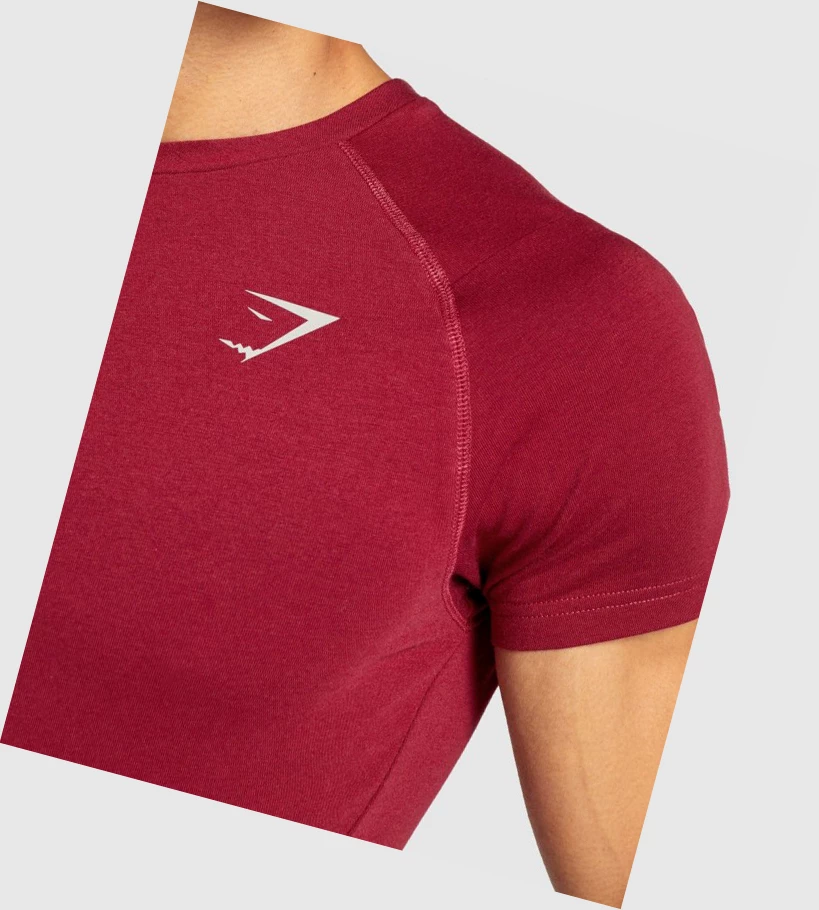 Gymshark Bold Miesten T Paidat Viininpunainen | LJGAMB659