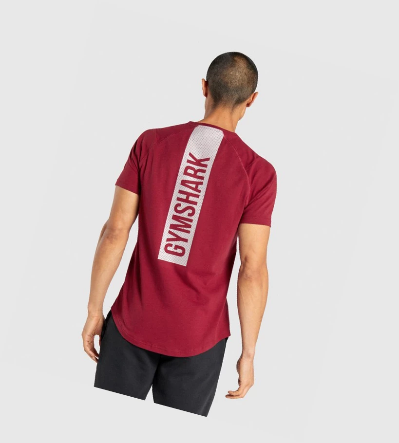 Gymshark Bold Miesten T Paidat Viininpunainen | MFYWNH648