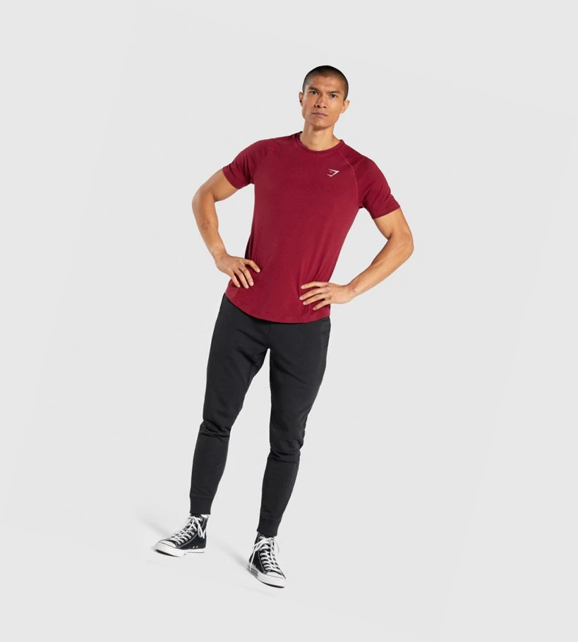 Gymshark Bold Miesten T Paidat Viininpunainen | MFYWNH648