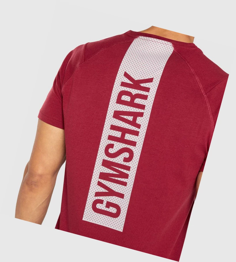 Gymshark Bold Miesten T Paidat Viininpunainen | MFYWNH648