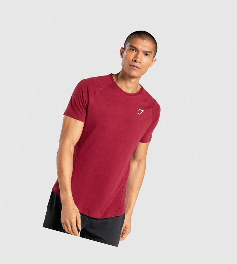 Gymshark Bold Miesten T Paidat Viininpunainen | MFYWNH648