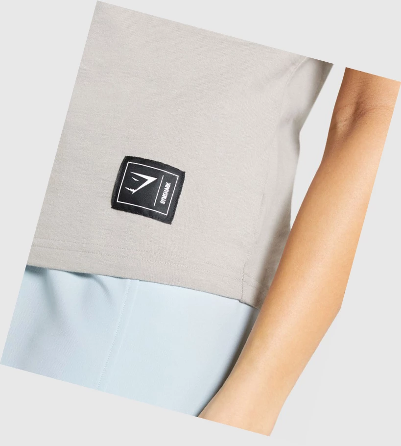 Gymshark CTY Naisten T Paidat Harmaat | YHXUVD301