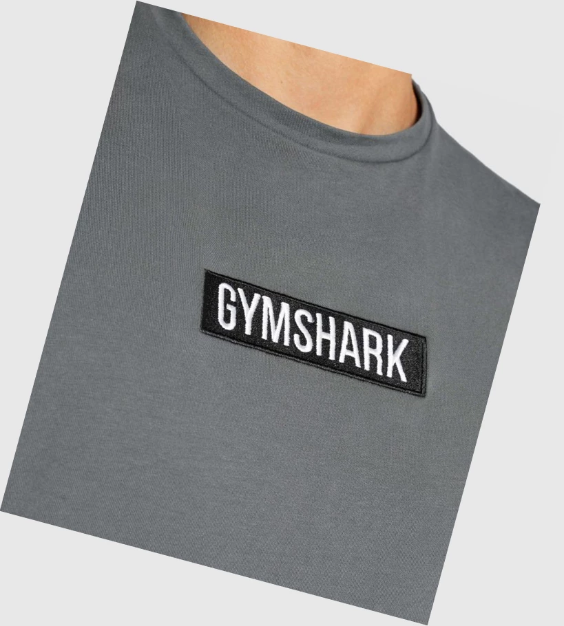 Gymshark Central Drop Arm Miesten Hihaton Paita Harmaat | STBVPK017