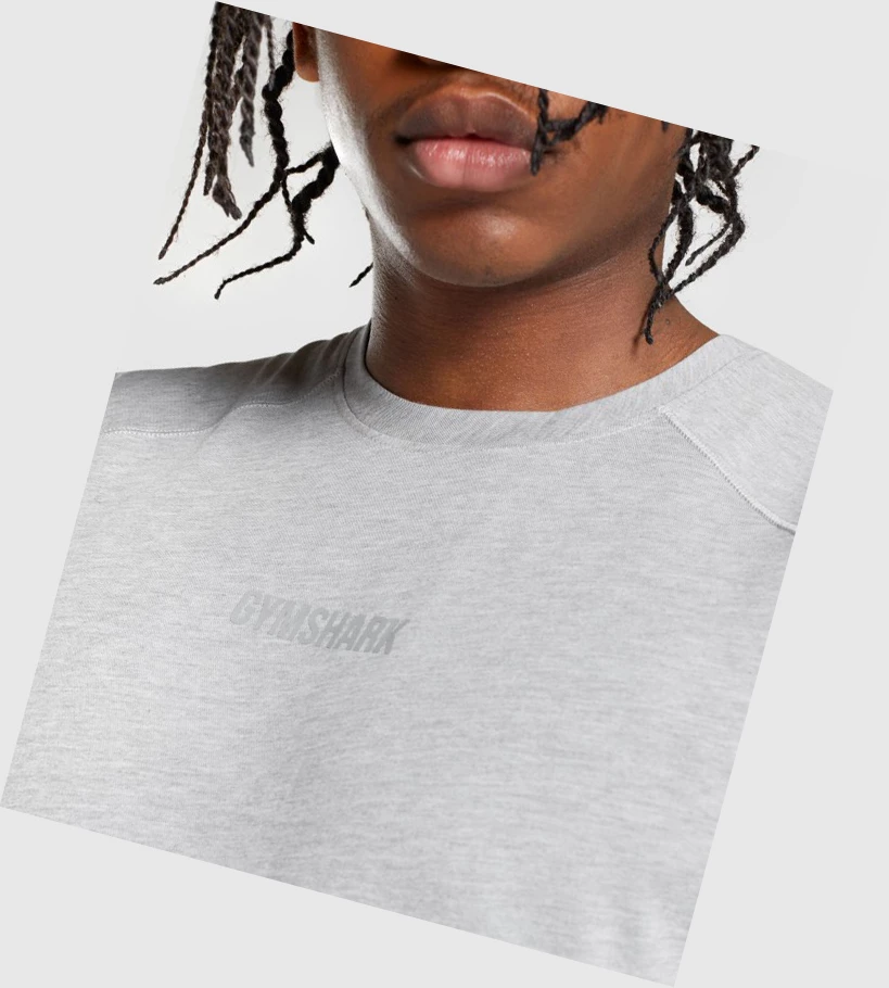 Gymshark Chalk Miesten Hihaton Paita Vaaleanharmaat | VKTPBH273