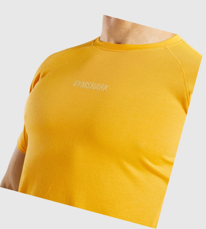 Gymshark Chalk Miesten T Paidat Keltainen | FAKIJM641