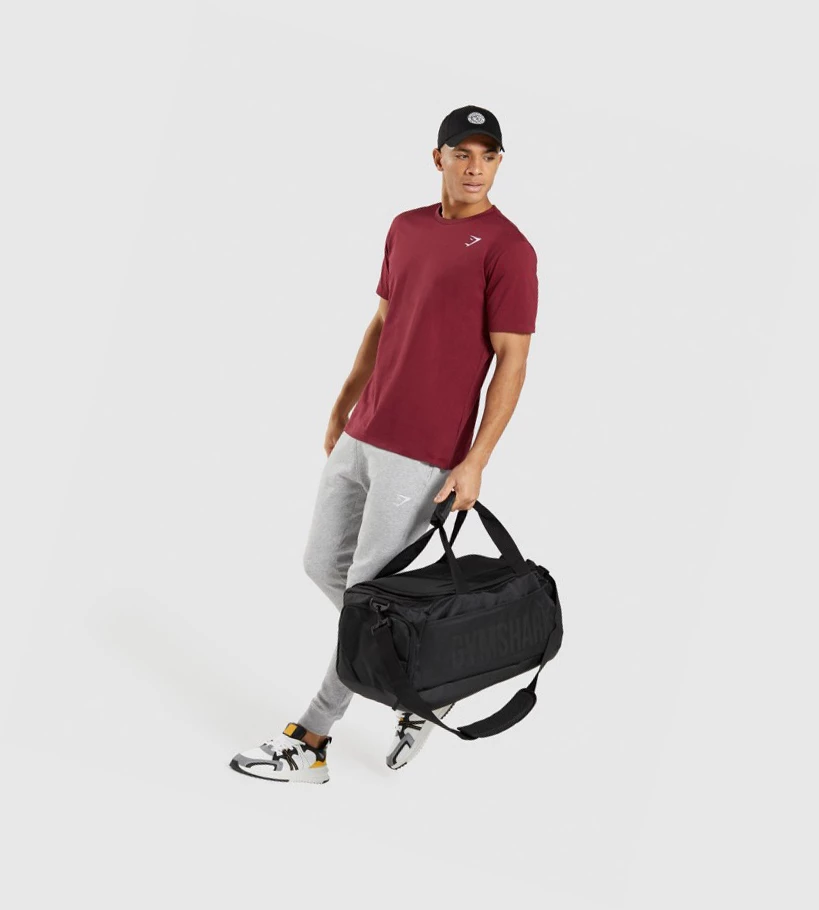 Gymshark Crest Miesten Juoksuvaatteet Vaaleanharmaat | UMPOYI520