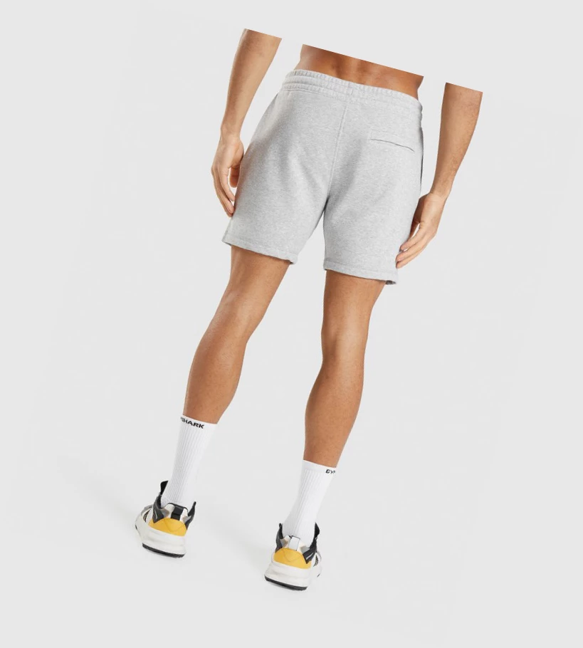 Gymshark Crest Miesten Shortsit Vaaleanharmaat | MRQUEW351