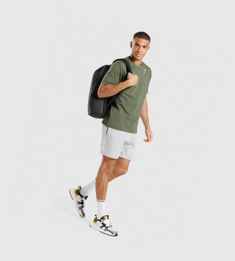 Gymshark Crest Miesten Shortsit Vaaleanharmaat | MRQUEW351