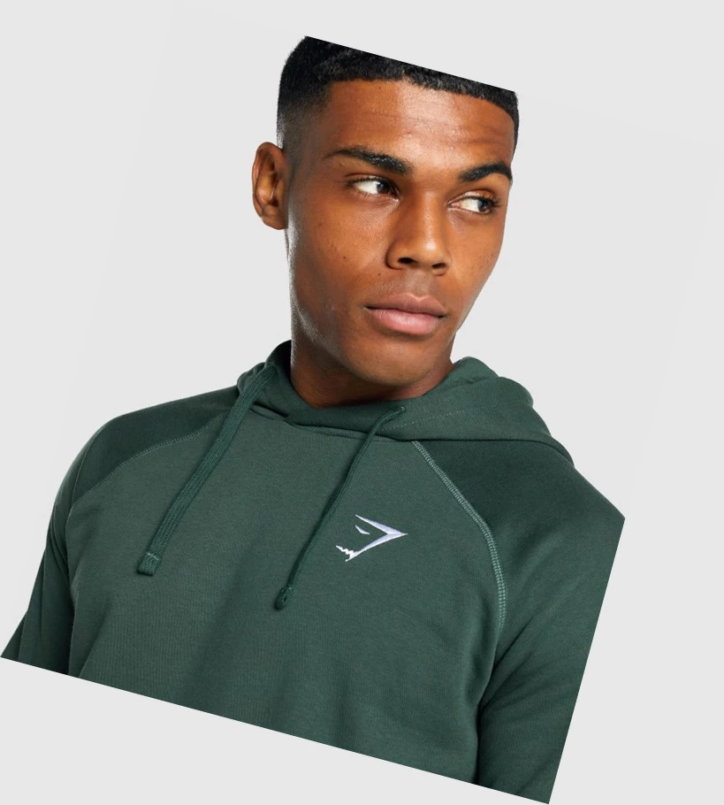 Gymshark Crest Miesten Vaatteet Tummanvihreä | LABQTF381