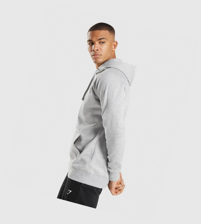 Gymshark Crest Miesten Vaatteet Vaaleanharmaat | VSQKOW430