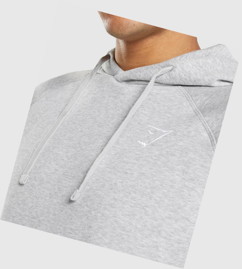 Gymshark Crest Miesten Vaatteet Vaaleanharmaat | VSQKOW430