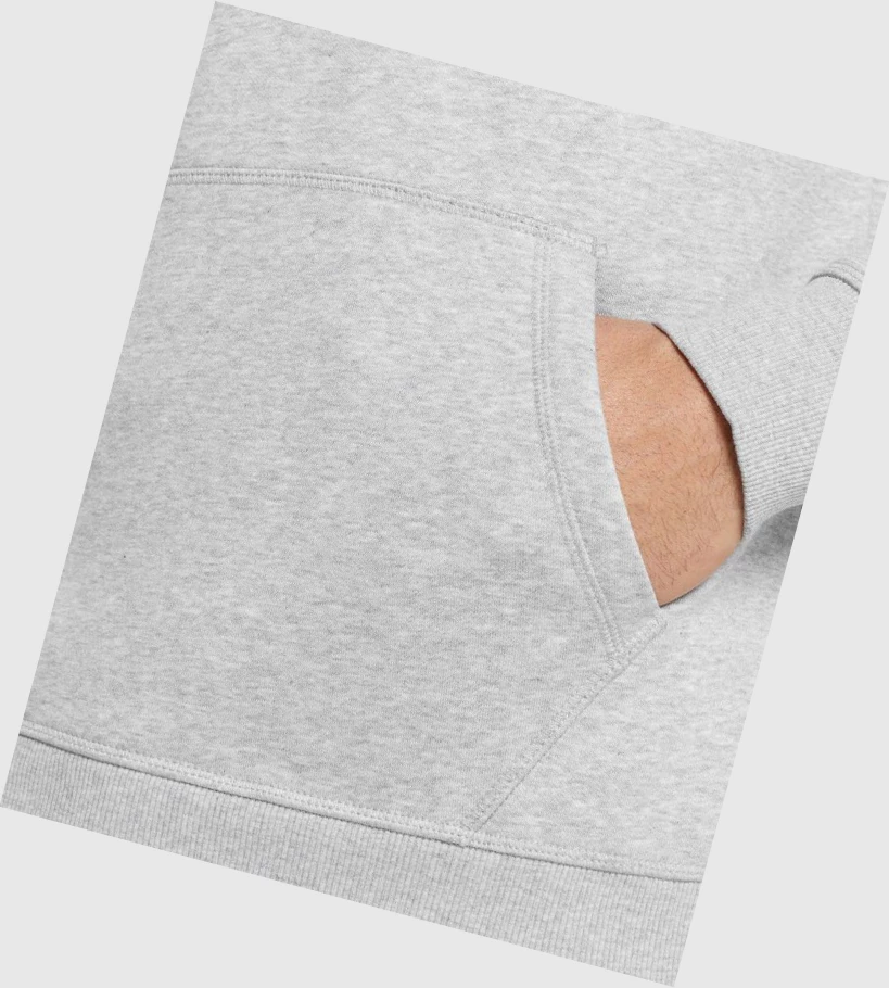 Gymshark Crest Miesten Vaatteet Vaaleanharmaat | VSQKOW430