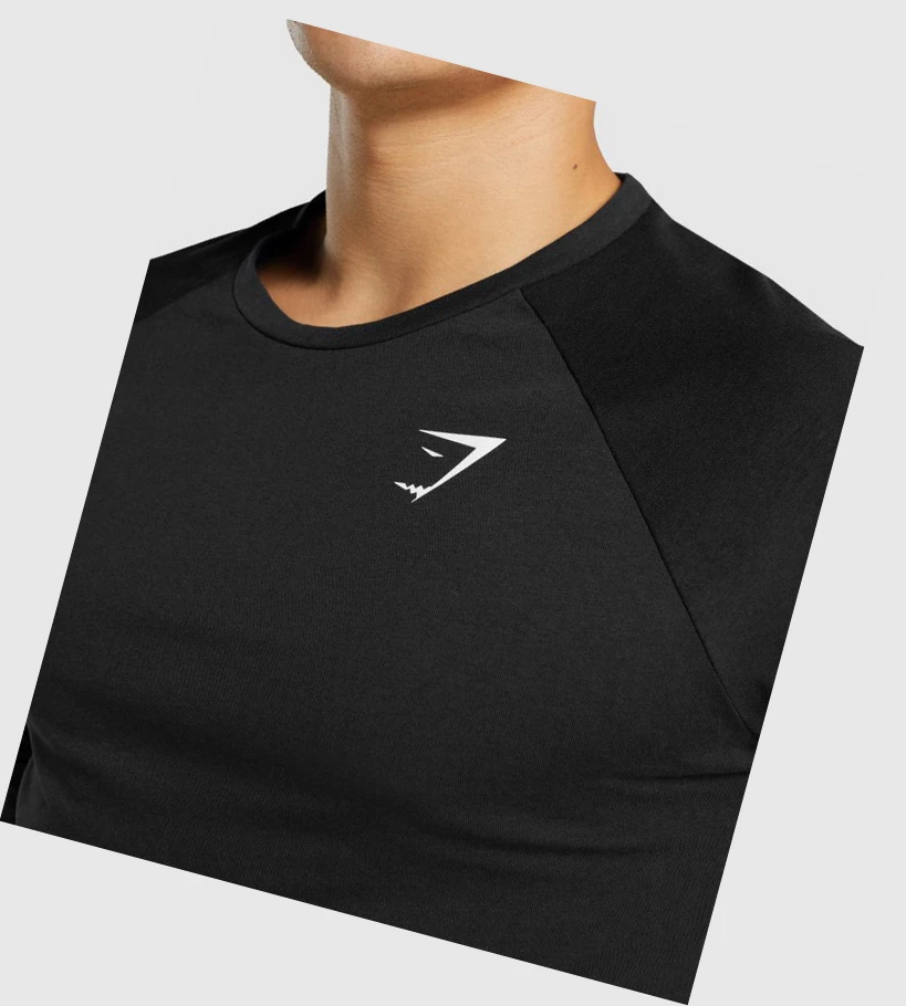 Gymshark Critical 2.0 Miesten T Paidat Mustat | HLIQTU526