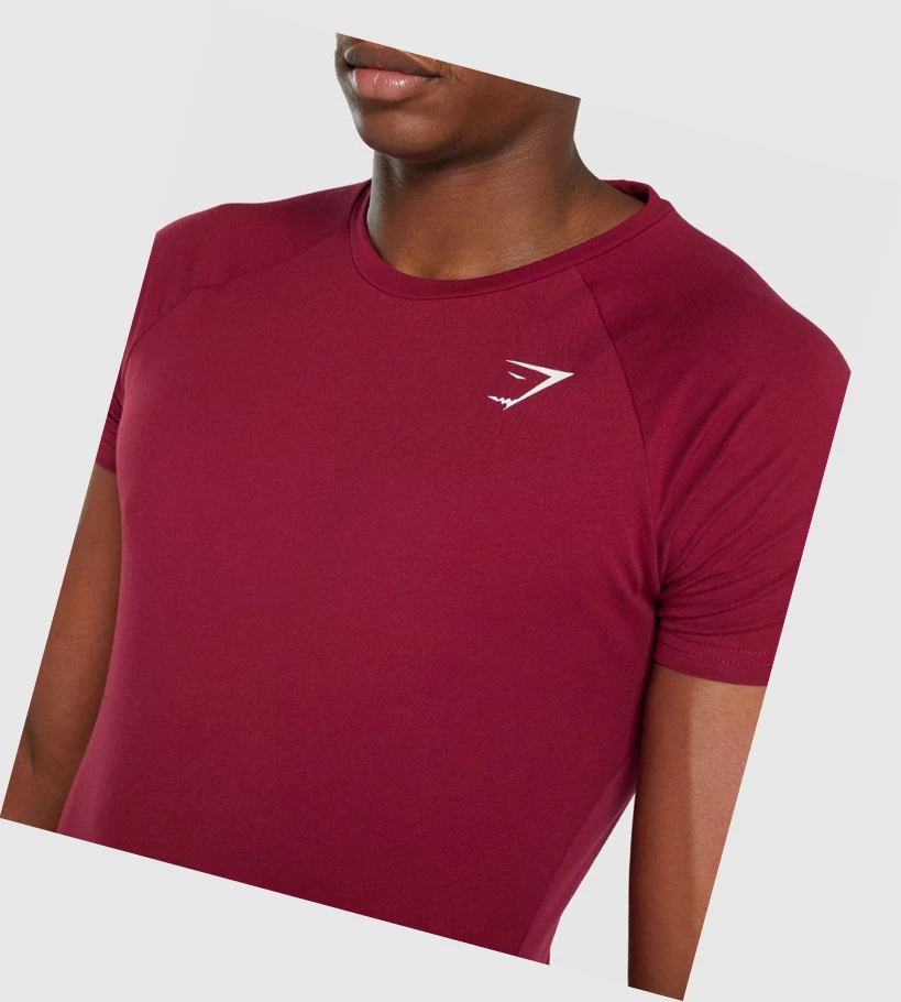 Gymshark Critical 2.0 Miesten T Paidat Viininpunainen | JEVUCA293