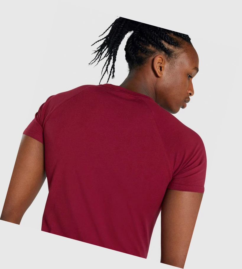 Gymshark Critical 2.0 Miesten T Paidat Viininpunainen | JEVUCA293