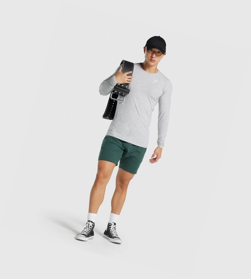 Gymshark Critical 2.0 Miesten T Paidat Vaaleanharmaat | OYZIEC719