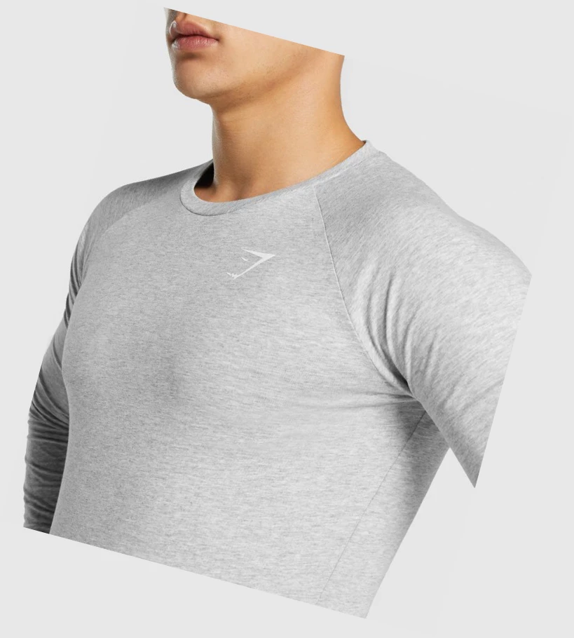 Gymshark Critical 2.0 Miesten T Paidat Vaaleanharmaat | OYZIEC719