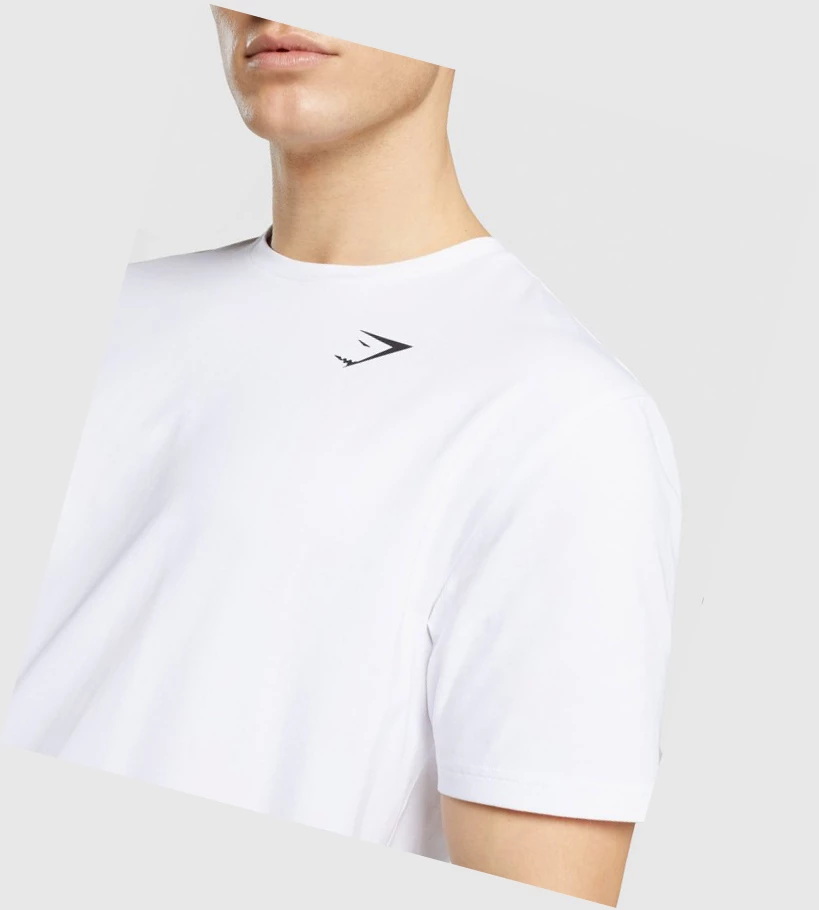 Gymshark Critical Regular Fit Miesten T Paidat Valkoinen | YWAILK109