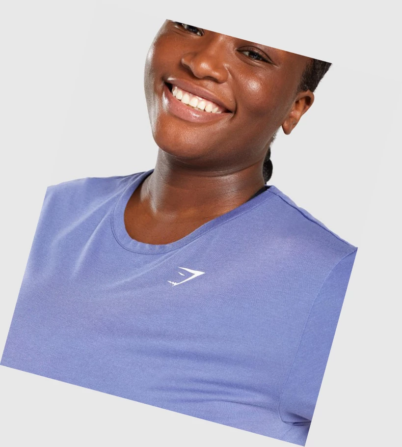Gymshark Essential Naisten T Paidat Sininen | BDLIGM302