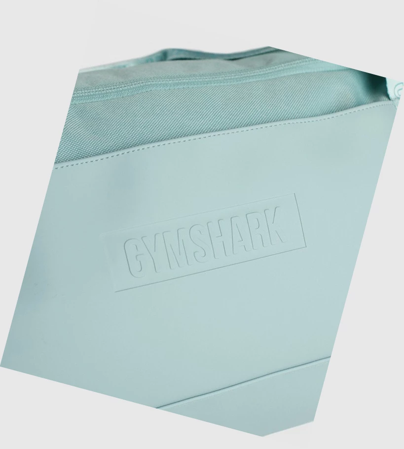 Gymshark Everyday Gym Naisten Laukku & Reppu Vaaleansininen | HTXKAJ318