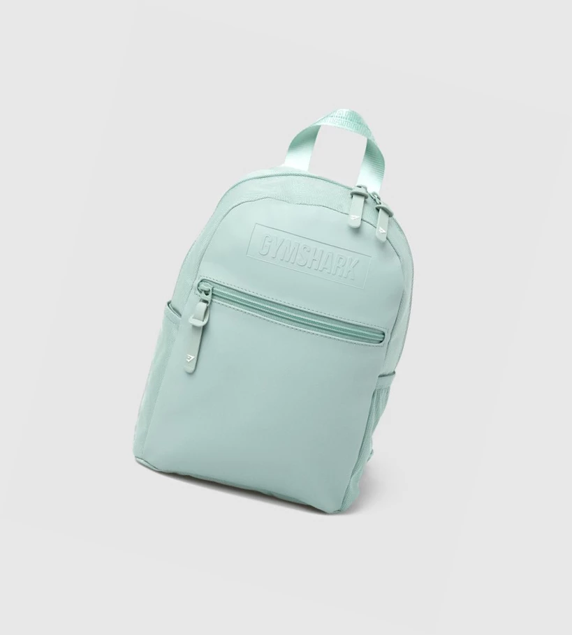 Gymshark Everyday Mini Miesten Laukku & Reppu Vaaleansininen | WDFYOP159