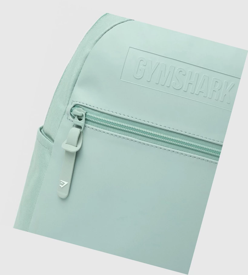Gymshark Everyday Mini Miesten Laukku & Reppu Vaaleansininen | WDFYOP159