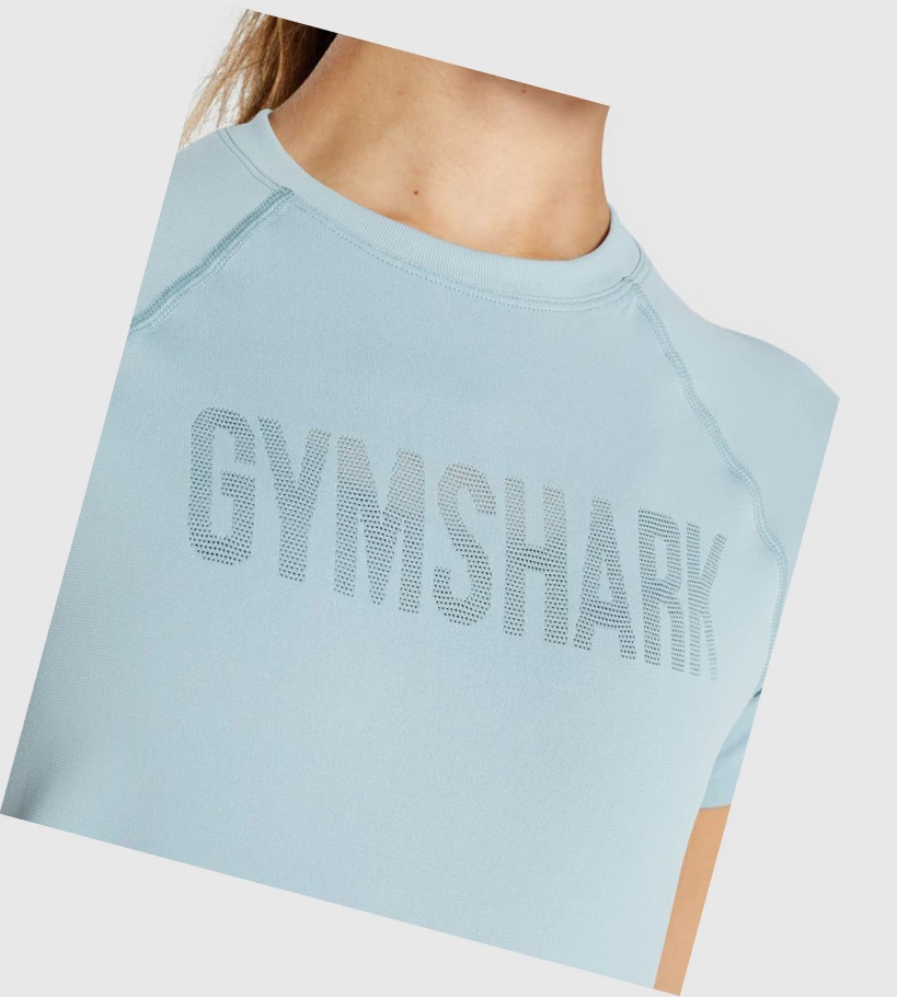 Gymshark Fit Seamless Loose Naisten T Paidat Sininen | CZONSW071