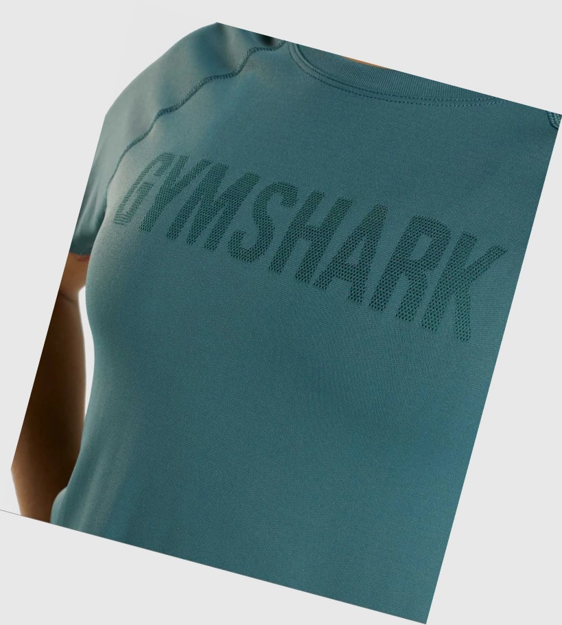 Gymshark Fit Seamless Naisten T Paidat Tummanvihreä | VHYEFR496