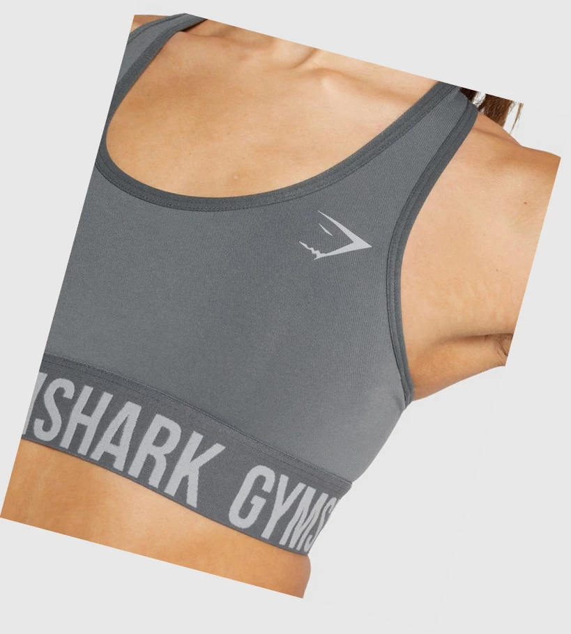 Gymshark Fit Seamless Naisten Urheiluliivit Harmaat | CQPKXB542