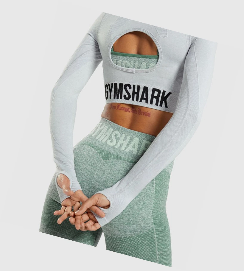 Gymshark Flex Sports Crop Top Naisten T Paidat Vaaleanharmaat | BARYHD781