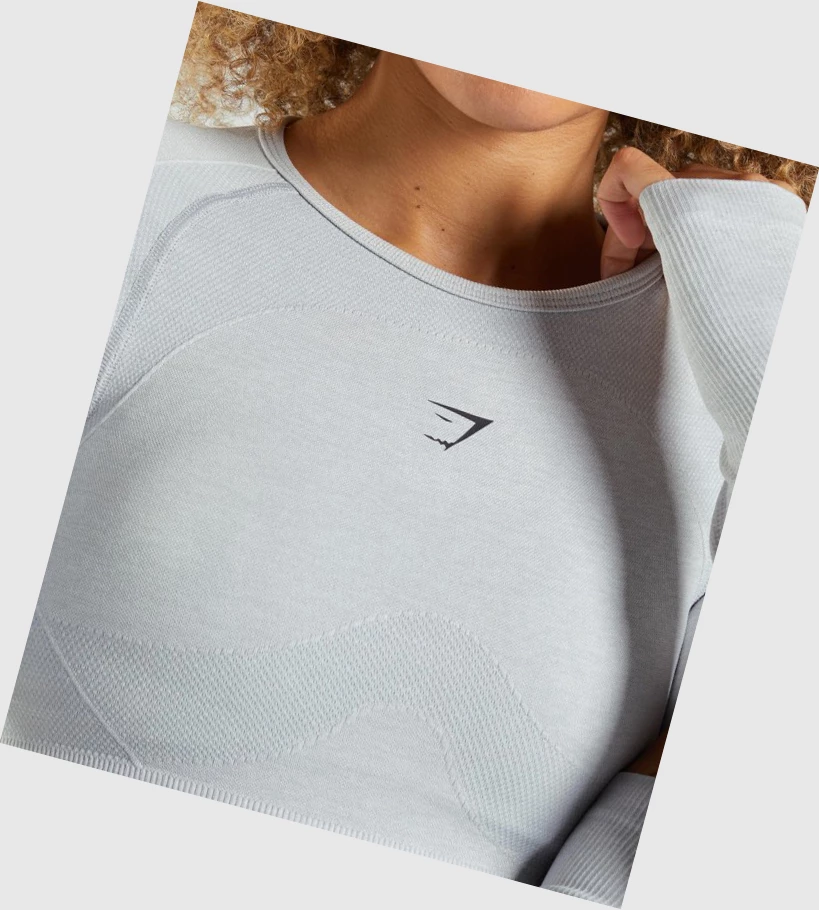 Gymshark Flex Sports Crop Top Naisten T Paidat Vaaleanharmaat | BARYHD781